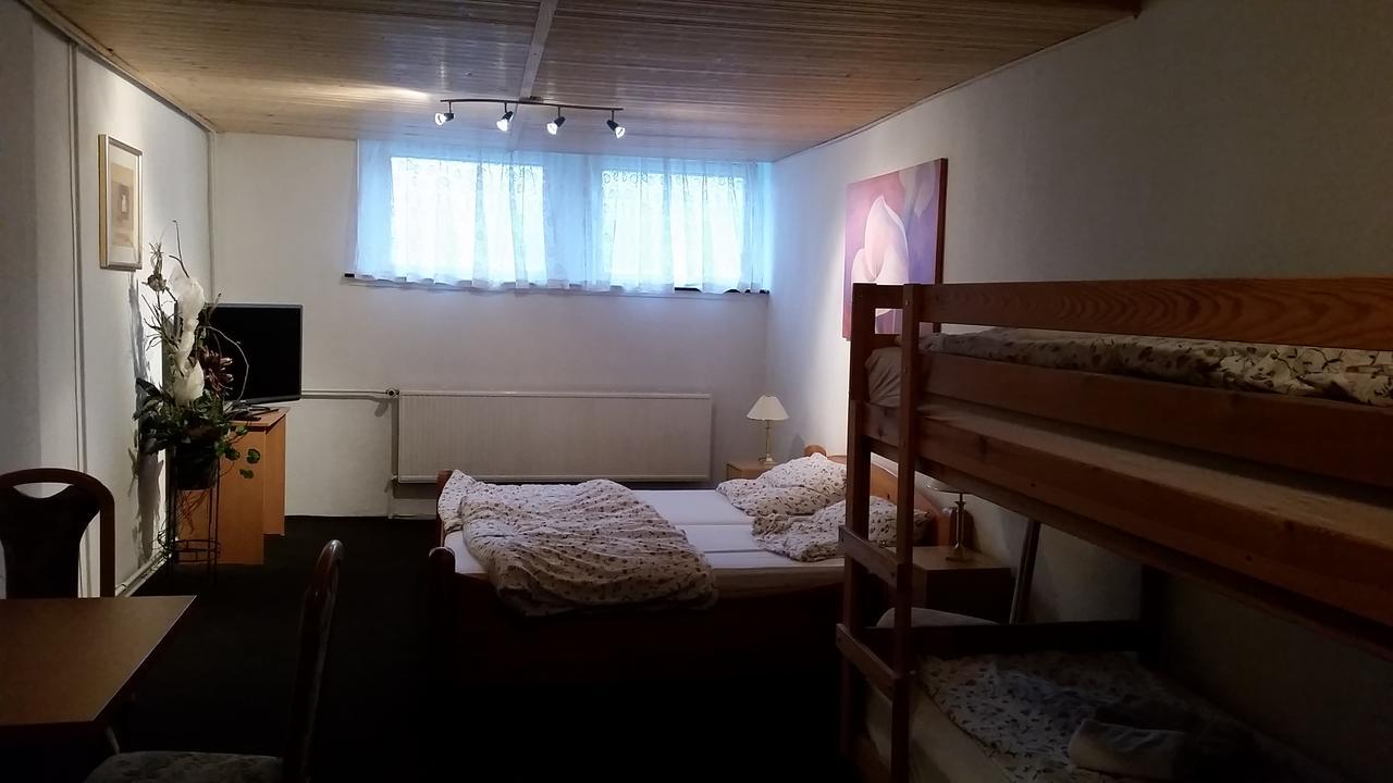 Pension Und Restaurant Die Burg Ehrenfriedersdorf Екстериор снимка