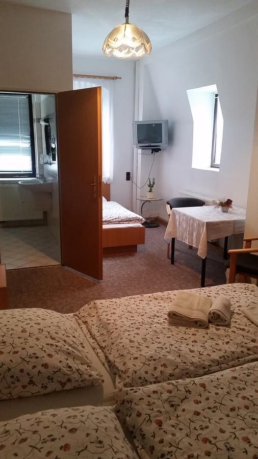 Pension Und Restaurant Die Burg Ehrenfriedersdorf Екстериор снимка